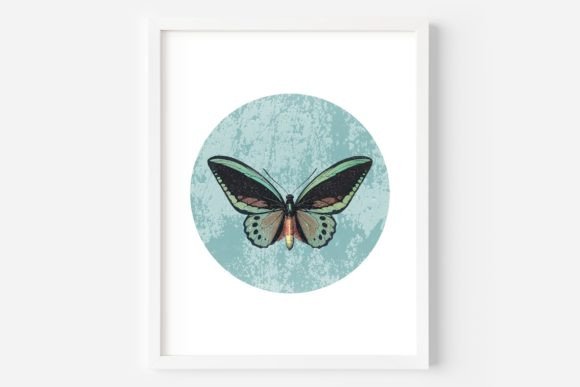Download Butterfly Wall Art, Printable Butterfly - Art Collection