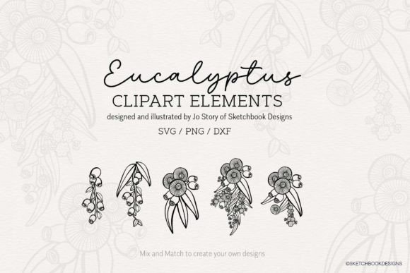 Download Hand-drawn Eucalyptus Clipart SVG - Art Collection