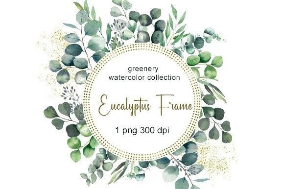 Download Eucalyptus Watercolor Clipart. Clipart - Art Collection