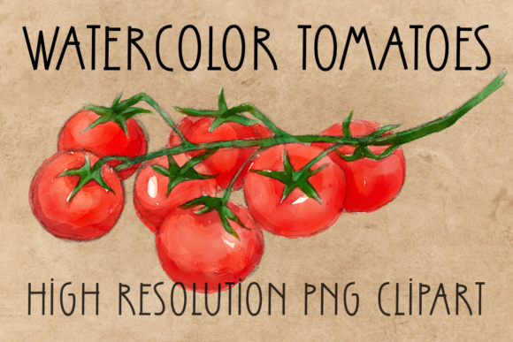 Download Transparent PNG Tomatoes Clipart Veggies - Art Collection
