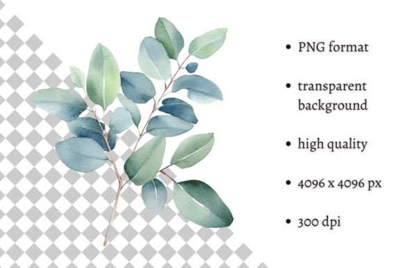 Download Watercolor Eucalyptus Leaves Clipart - Art Collection