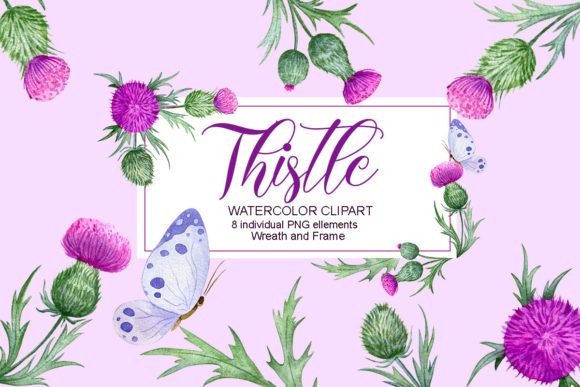 Download Thistle Watercolor Clipart, Floral Frame - Art Collection