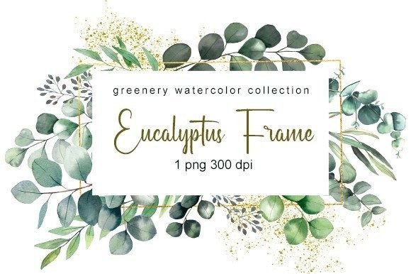 Download Eucalyptus Watercolor Clipart. Png - Art Collection